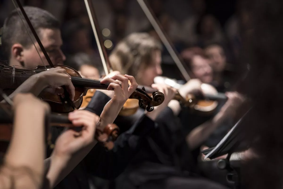 Violin shop Pasadena: best online violon store | Lee's Music Store