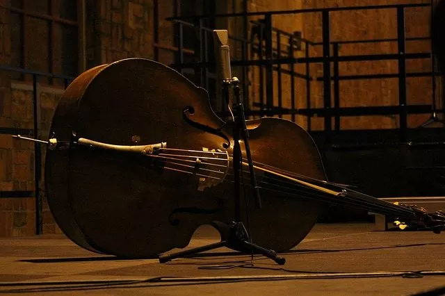 Cello Repair Near Me | Find The Best Cello Repairing Store Near You