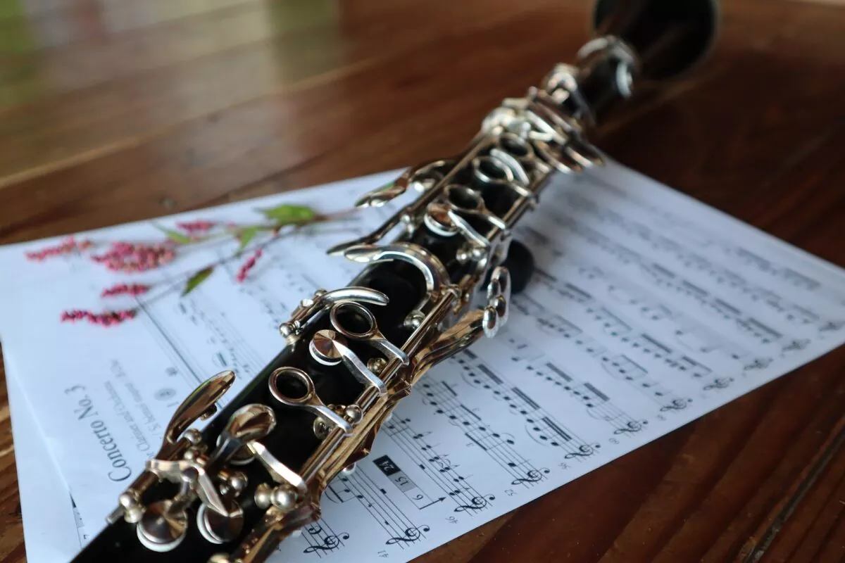 Best Clarinet Players Of All Time | Are You Interested in Learning Clarinet ?