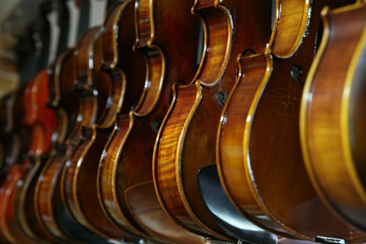 Best Online Violin Store | Get A New One From The Online Violin Store