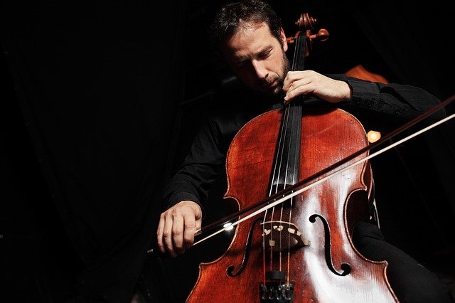 Cello Rental Near Me | Find the Right Cello | Lee's Blog